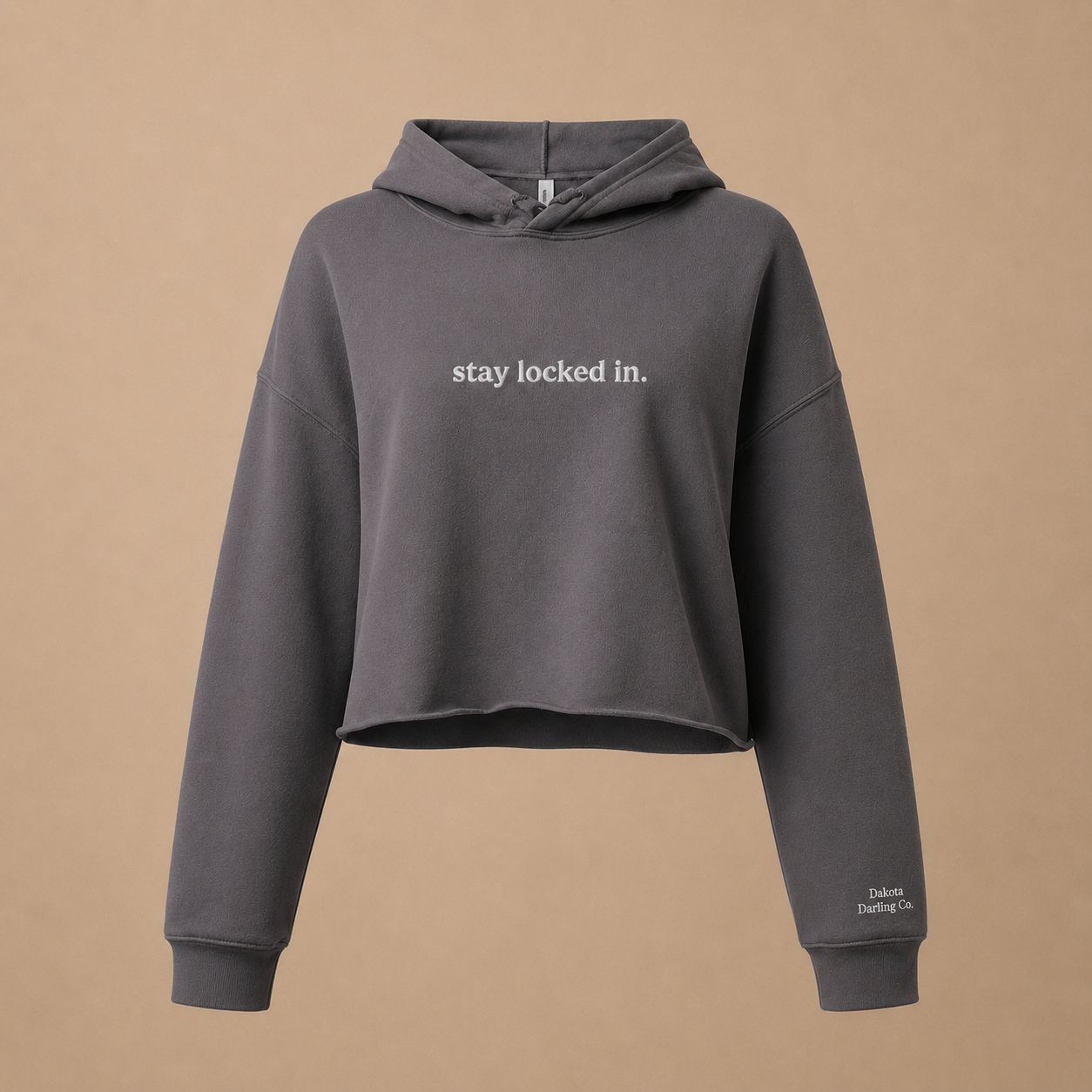 Stay Locked In | Cropped Hoodie